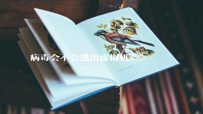 病毒会不会逃出虚拟机？