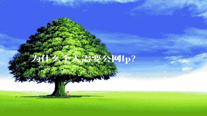 为什么个人需要公网ip？