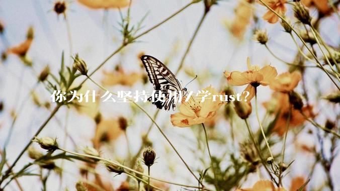 你为什么坚持使用/学rust？